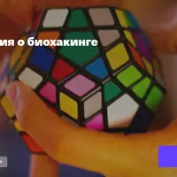 Нейрофизиология о биохакинге