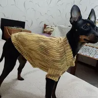 Жакет для собачки