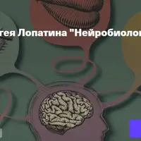 Нейробиология восприятия. Лекция 2. Осязание