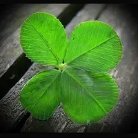 Магия на удачу