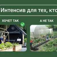 Дизайн современного огорода