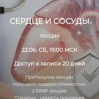 Сердце и сосуды