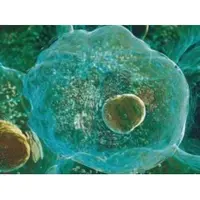 Видеозаклинание 2 типа. Лечение онкологических заболеваний