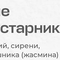 Размножение цветущих кустарников