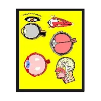 Видеозаклинание 1 типа - Лечебные - Нормализация зрения