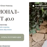 Профессионал-Турагент 40.0