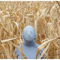 Учимся снимать и обрабатывать как Уэс Андерсен