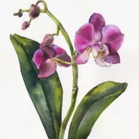 Акварельный клуб