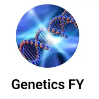 Практический курс по детоксу эстрогенов