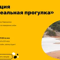 Идеальная прогулка