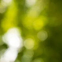 Поле, которое тебе нужно