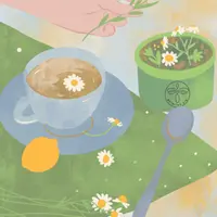 Чайные травы