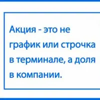 Подписка на информационно-аналитический сервис Alёnka Capital
