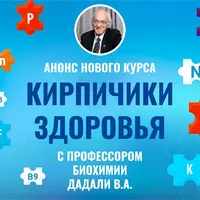 Кирпичики здоровья