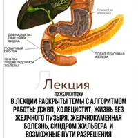 Лекция по желчеоттоку