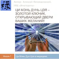 Ци Мэнь в медицине. Часть 3