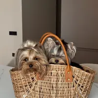 Сумка-переноска или сумка-корзинка из бумажной лозы