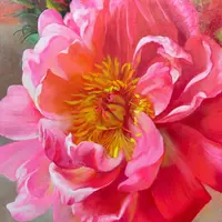 Коралловый пион