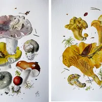 Сезон грибов. Мастер-класс ботанической живописи