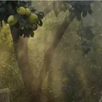 Чувство вкуса 2.0