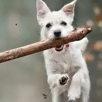 Советы, просьбы и материализация. Вы готовы к игре?