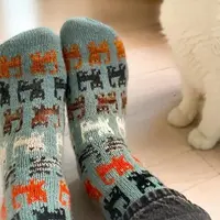 Носки с жаккардовыми котиками Herding Cats