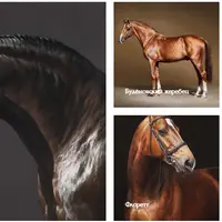 Иппографика. Пастельная живопись