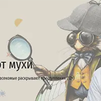 Что скрывают мухи. Как насекомые раскрывают преступления