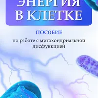 Энергия в клетке