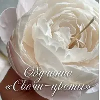 Свечи-цветы. Основы