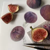 Инжир акварелью