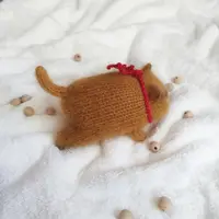 Усат, мордат и волосат