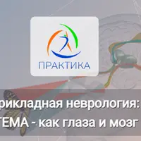 Прикладная неврология: Зрительная система - как глаза и мозг работают вместе