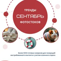 Тренды фотостоков (сентябрь 2024)