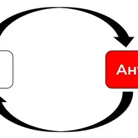Анти-антибиотики