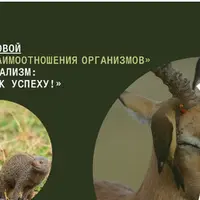 Мутуализм: дружба — путь к успеху!