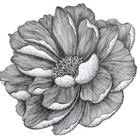 Графика PRO. Продвинутый курс