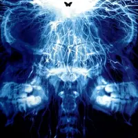 Кинокоучинг Эффект бабочки