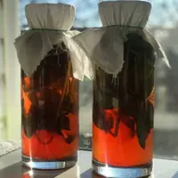 Напитки для застолья. Ферментируем со специями