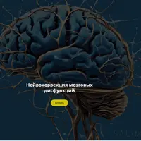 Нейрокоррекция мозговых дисфункций