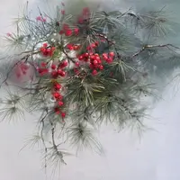 Зимний букет