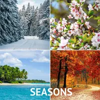Seasons, Food, Clothes. Готовые уроки