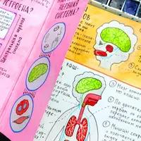 Окружающий мир. 21 блок