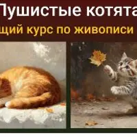 Пушистые котята