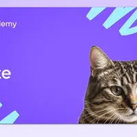 Профессиональный онлайн-курс Vite