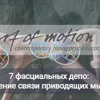 7 фасциальных депо: связь приводящих мышц с тазовым дном