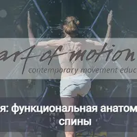 Грудопоясничная фасция: функциональная анатомия, тренировка и здоровье спины