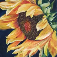 Абонемент на программы по рисованию