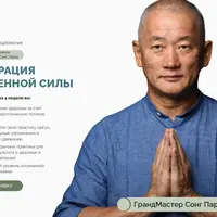 Интеграция жизненной силы