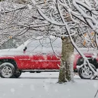 Перезимуем вместе